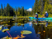 Mt. Hood National Forest