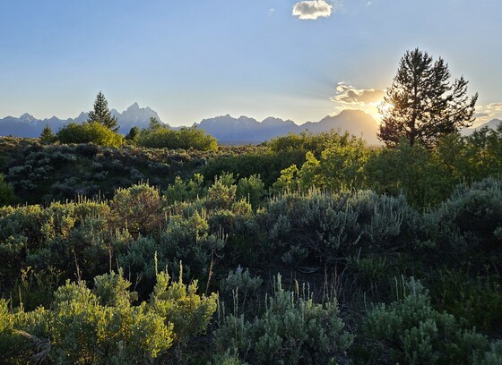 Grand Teton National Park