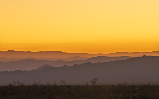 Mojave National Preserve