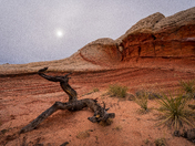 White Pocket - Vermillion Cliffs National Monument