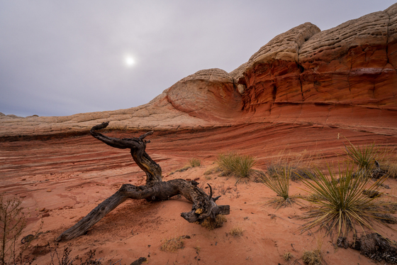 White Pocket - Vermillion Cliffs National Monument