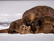 Grand Teton National Park