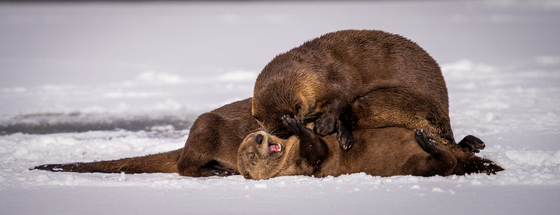 Grand Teton National Park