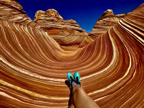The Wave