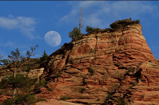 Zion National Park