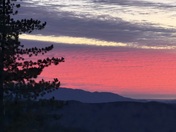 San Bernardino National Forest