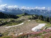 Mount Rainer National Park