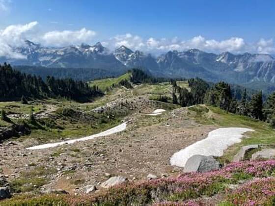 Mount Rainer National Park