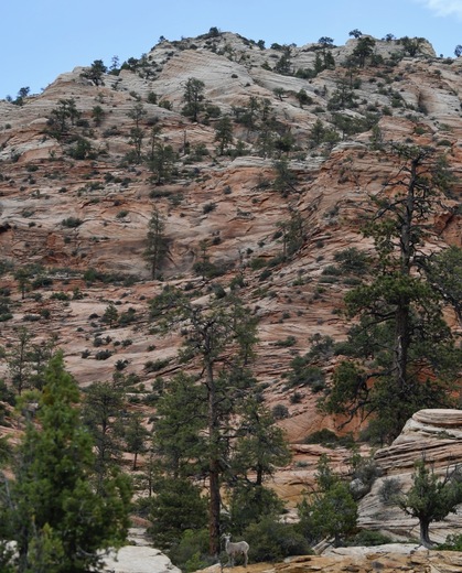 Zion National Park
