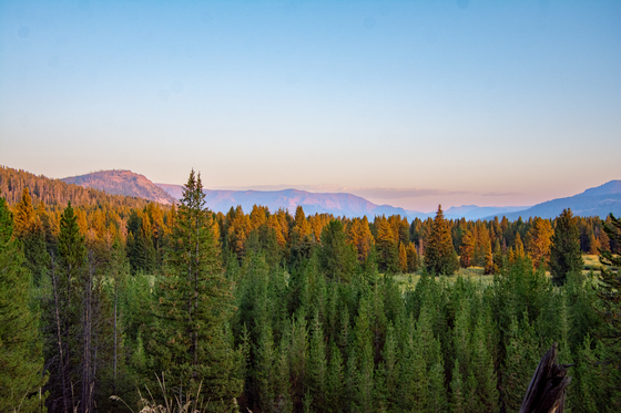 Yellowstone National Park