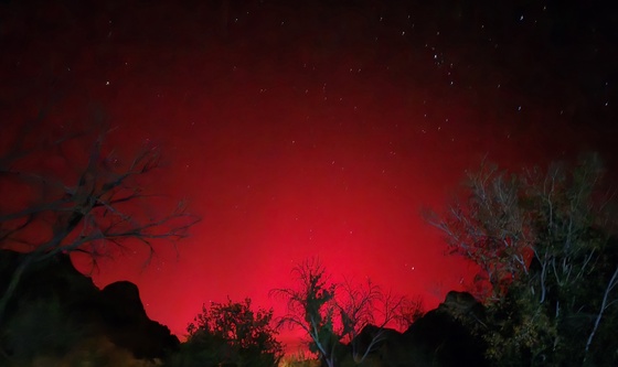 Zion National Park 