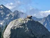 Mount Rainer National Park
