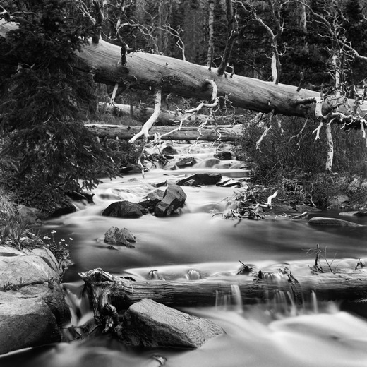 San Isabel National Forest