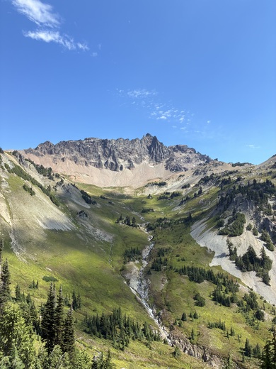 Gifford Pinchot National Forest
