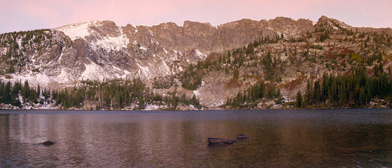Roosevelt National Forest