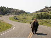 Theodore Roosevelt National Park