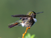 Rocky Mountain National Park