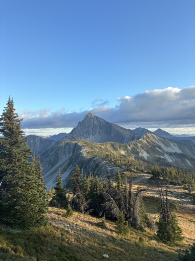 Okanogan National Forest