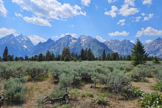 Grand Teton National Park