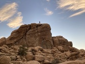 Joshua Tree National Park
