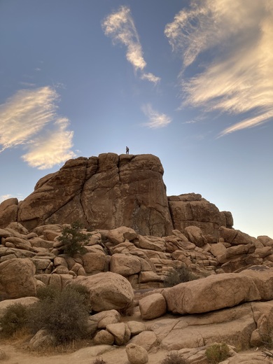 Joshua Tree National Park