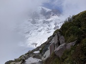Mount Rainier National Park 