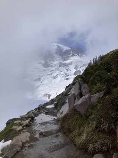Mount Rainier National Park 