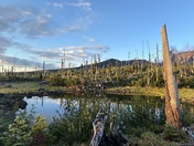 Mount Jefferson Wilderness 