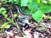 Gateway National Recreation Area