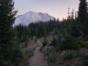 Mount Rainier National Park