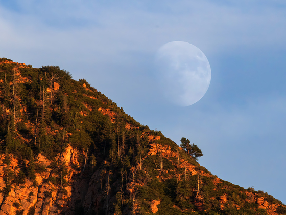 Zion National Park