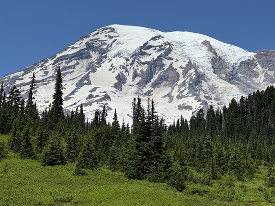Mt. Rainier National Park
