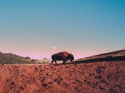 Devils Tower National Monument