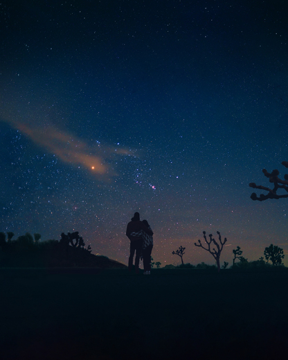 Joshua Tree National Park