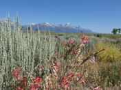 Grand Teton National Park