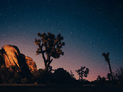 Joshua Tree National Park