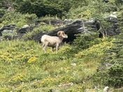 Glacier National Park