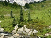 Mt Rainier National Park