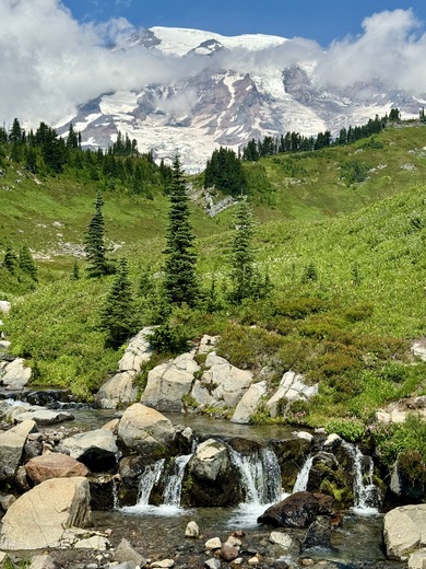 Mt Rainier National Park