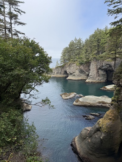 Olympic National Park