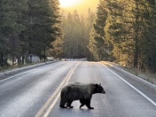 Yosemite National Park