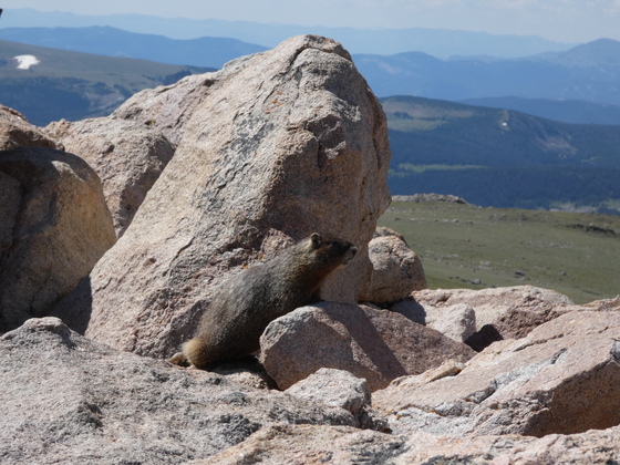 Beartooth Highway