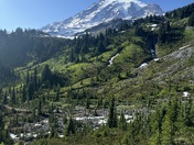 Mt. Rainier National Park 