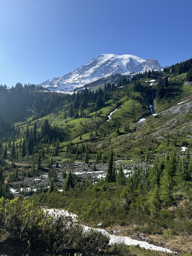 Mt. Rainier National Park 