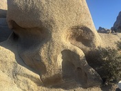 Joshua Tree National Park