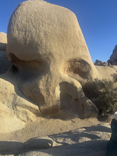 Joshua Tree National Park