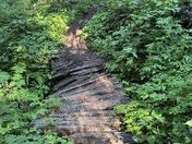 Mt. Rainier National Park