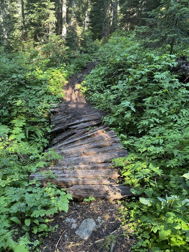 Mt. Rainier National Park
