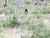 Glacier National Park