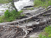 Glacier National Park